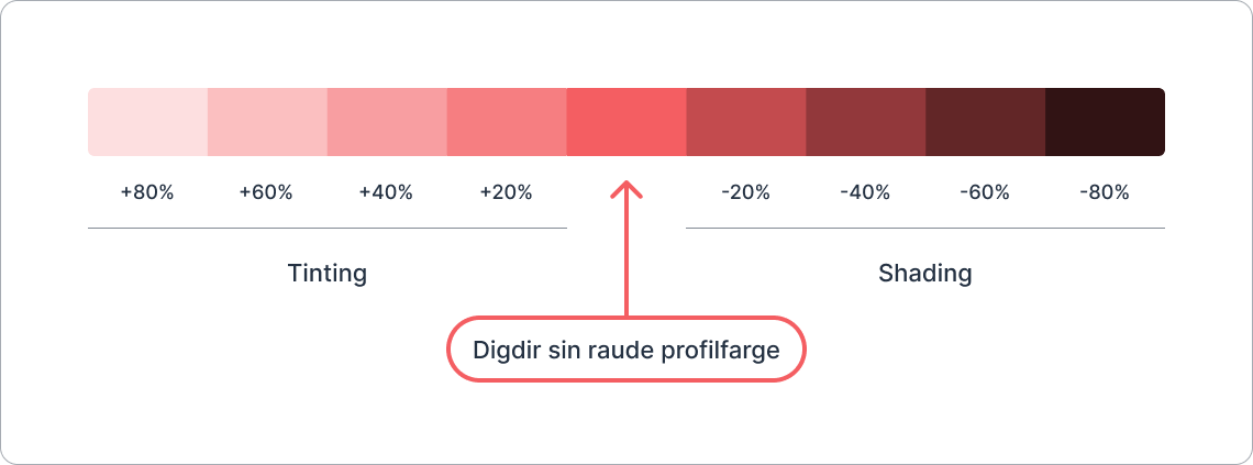 Illustration showing a red color scale in the RGB color space represented as 9 rectangular boxes. In the middle is Digdir's red brand color. The 4 boxes to the left and right get darker and lighter shades.